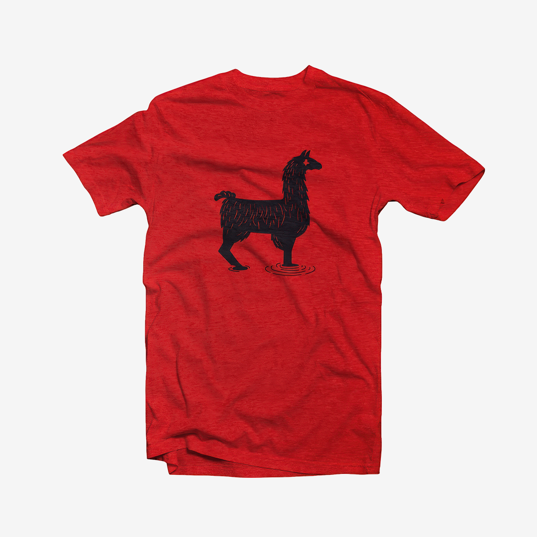 Delay Llama (T)