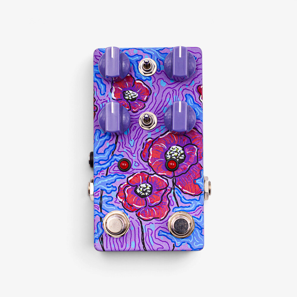 Anemone