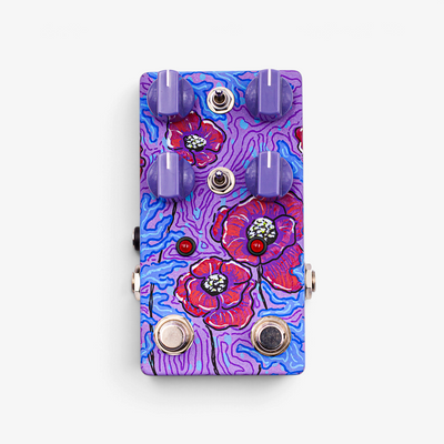 Anemone