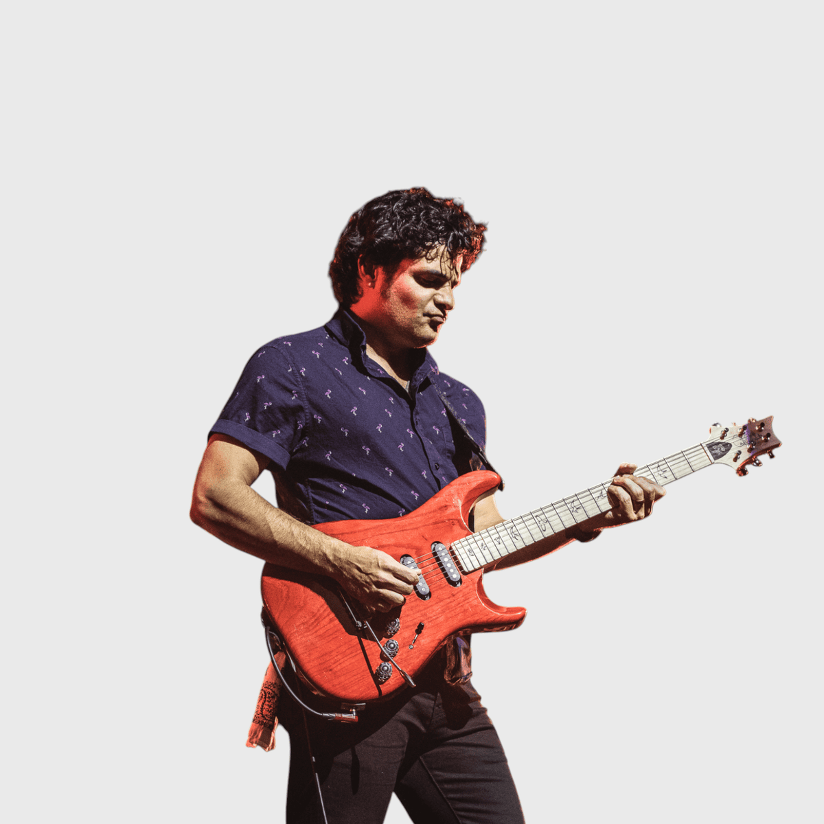 Mark Lettieri (Snarky Puppy)