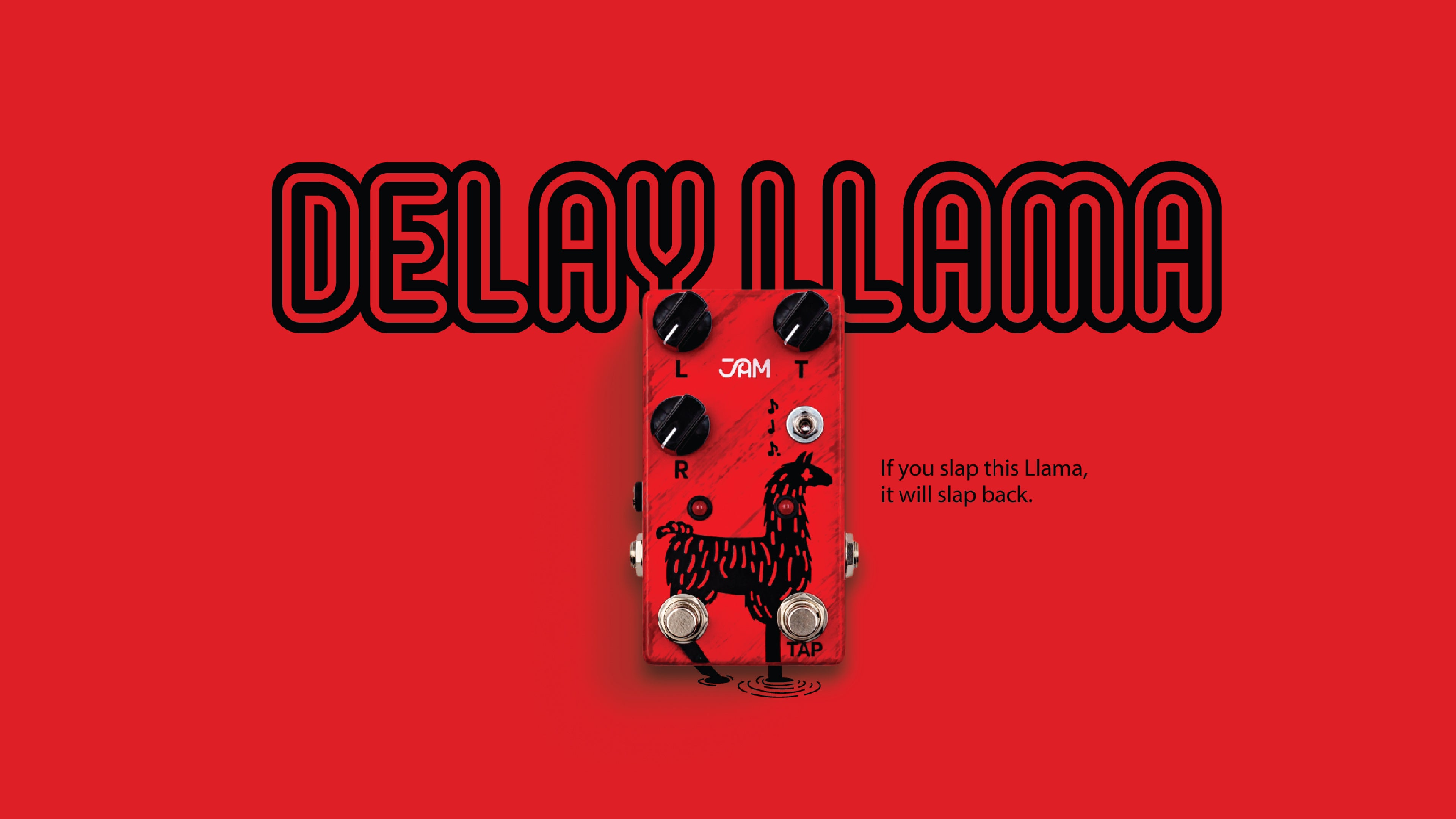 delay_llama_banner_0b295a0e-