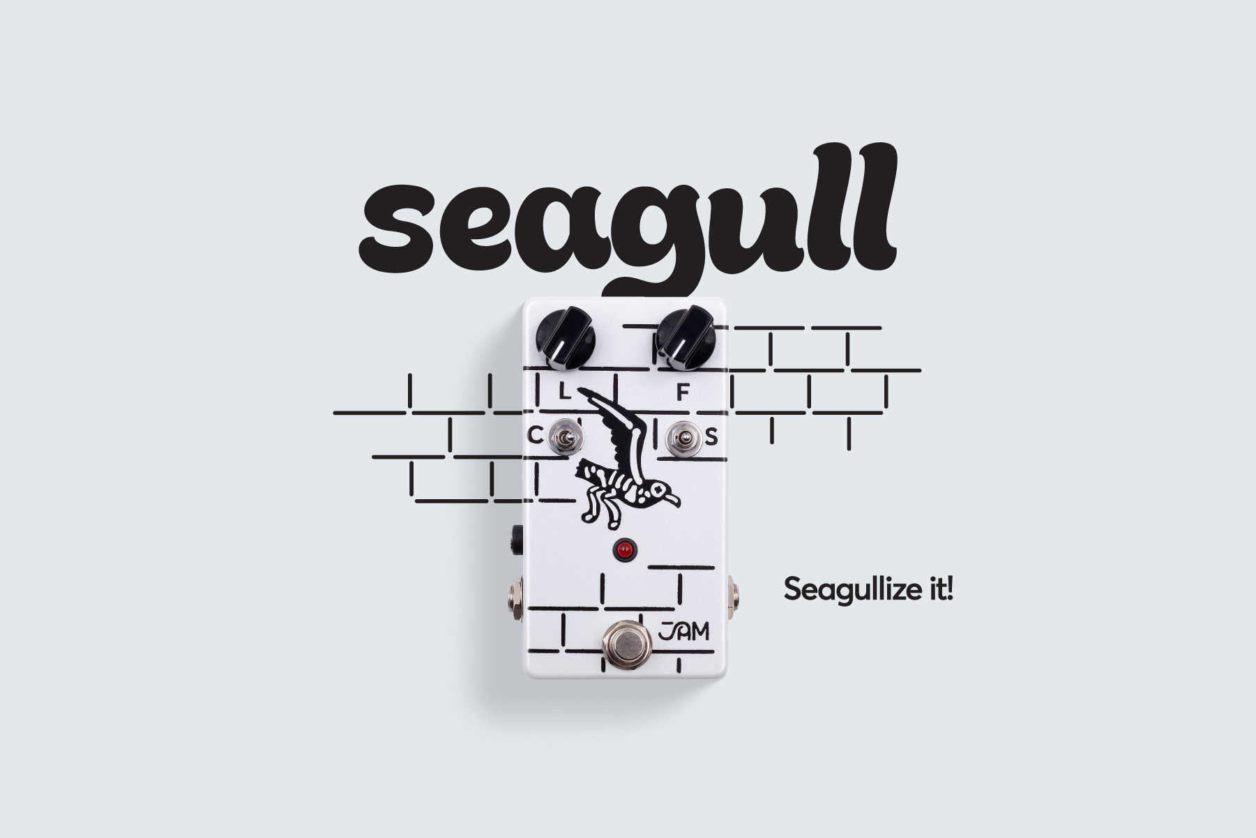 Seagull