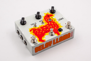 Delay Llama Xtreme image 1