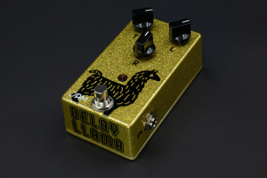 Nels Cline | Delay Llama image 1