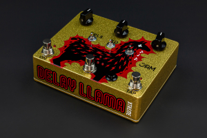 David Torn | Delay Llama XTREME image 1