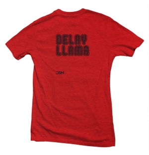 Delay Llama image 3