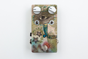 Jampedals.com Custom Pedal Ecotypia 9